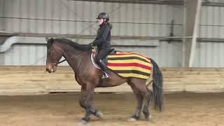 Flatwork with Seasoned Eq Horse - Charlie