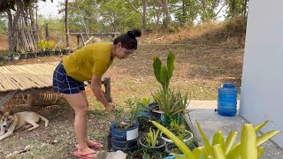 สงกานต์ปีใด ต้องเกิดเรื่องแบบนี้ตามมา🥲