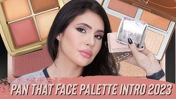 PAN THAT FACE PALETTE PROJECT PAN : INTRO 2023 #panthatfacepalette