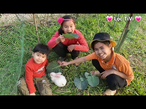 Video Top Fun ???? Lộc TiVi Làm Chuồng Nuôi Thú Cưng Bằng... - youtube