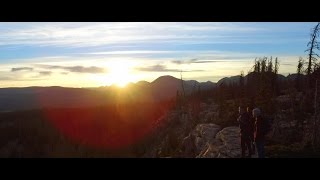 The Last Living - Evergreen