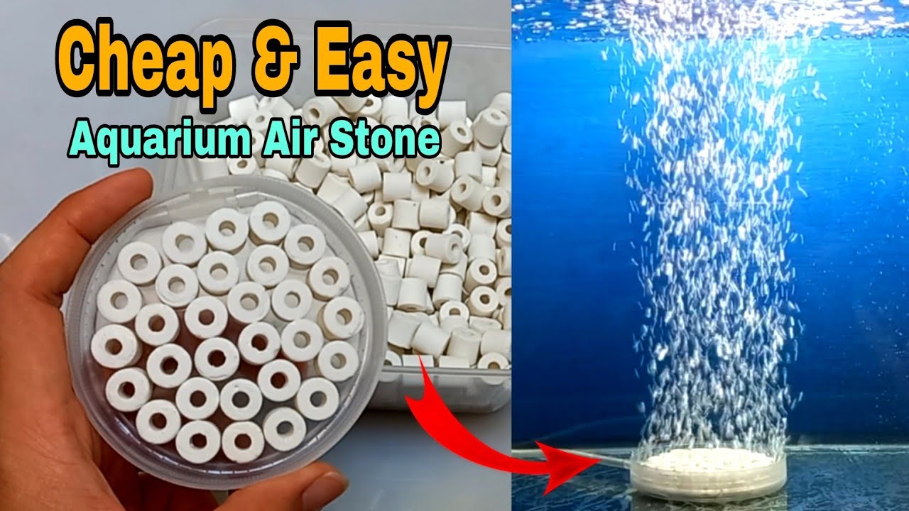Aquarium air stone DIY Aquarium air bubble stone DIY part 3 YouTube