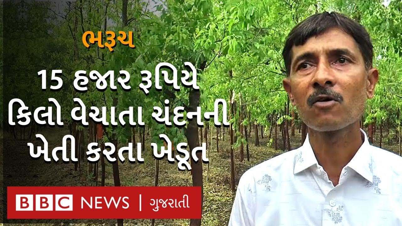 ચંદનની ખેતી કરી ભરૂચના આ ખેડૂત કમાય છે લાખો રૂપિયા, મોદીએ કર્યું છે સન્માન