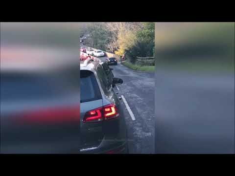 Driver jumps red light at roadworks and then hilariously bungles reverse they're forced to make