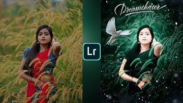 Lightroom green and bird effect photo editing tutorial | Lightroom background colour change| preset