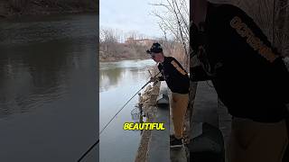 Will I Land Him fishing shorts