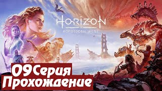 Тень на западе ➤ Horizon: Forbidden West 🅕 Прохождение #9 | PС