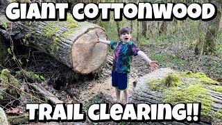 Trail clearing to our favorite swimming hole! Getting ready for summer!! by Fox Holler Homestead 598 views 1 year ago 7 minutes, 47 seconds
