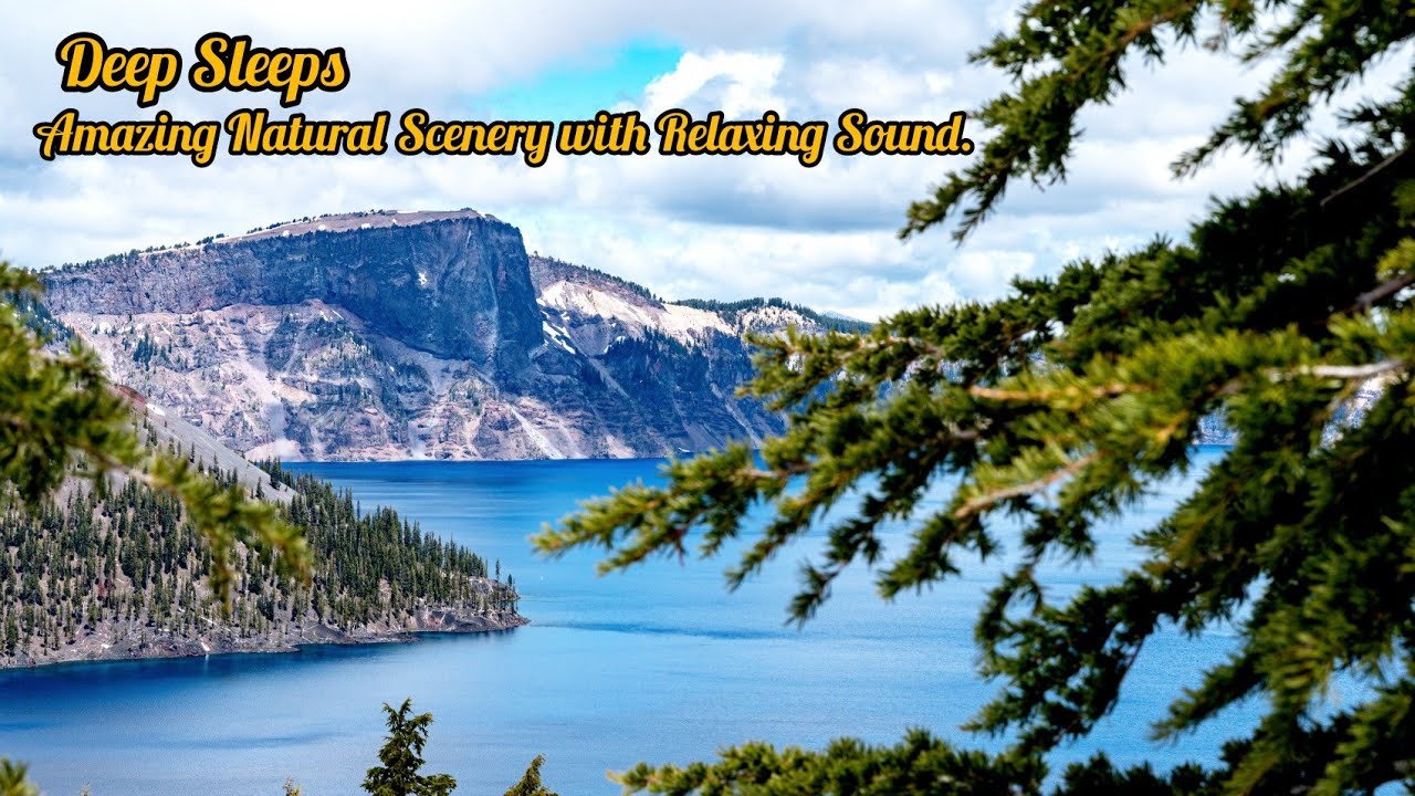 Nature's Soothing Melodies/ A Relaxing Music Experience