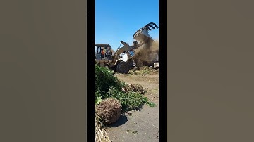 Ever Wonder what happens to your green waste.....                 #reels #viral #instagram #amazing