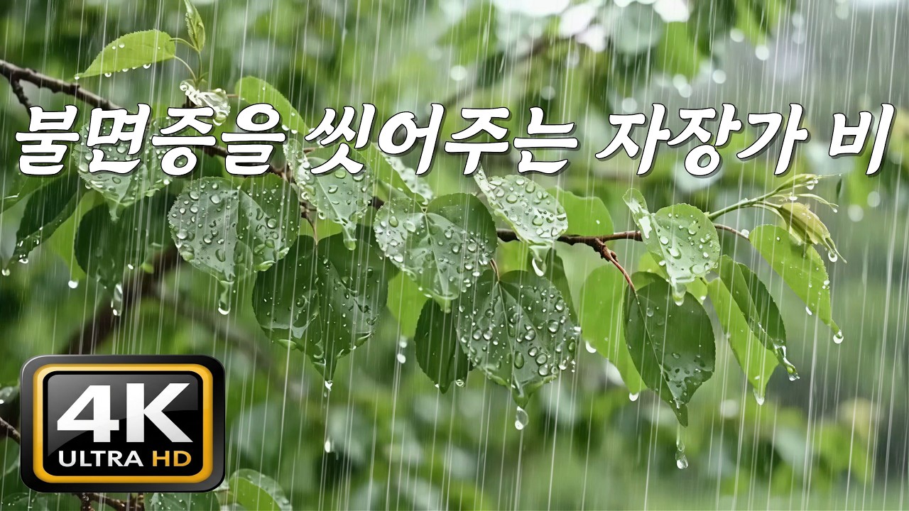 불면증을 씻어주는 자장가 빗소리, [중간광고없음]10분후 검은화면, 