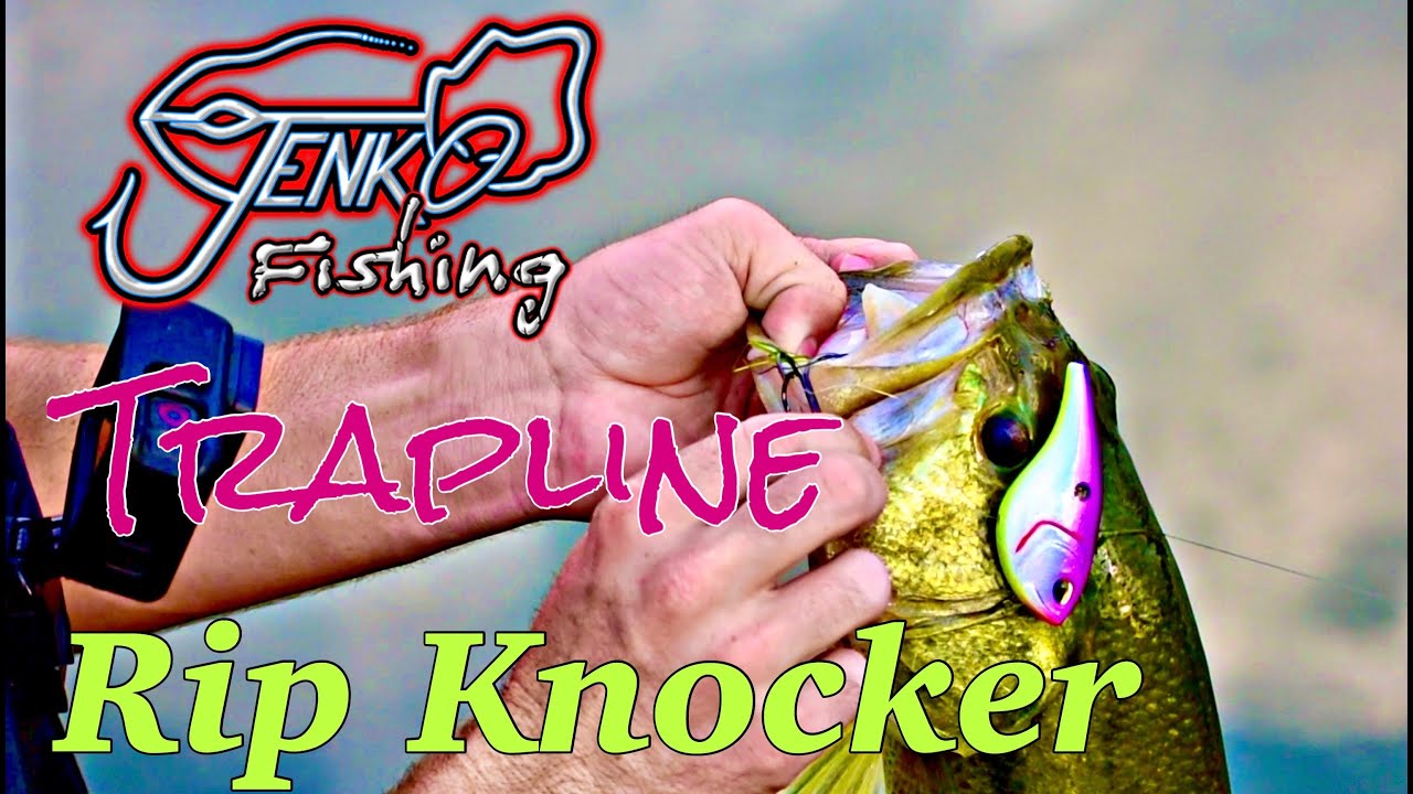 Jenko Fishing Trapline Rip Knocker Review 