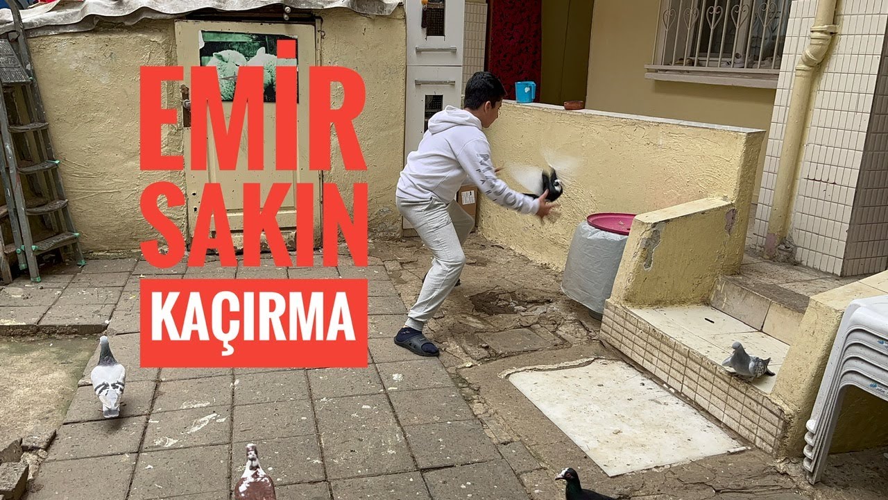 Bölük Kaçak Güvercin Getirdi ( Yakaladım )