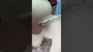 Used By 2000 Professional Groomers Our Brands Signature Grooming Shears