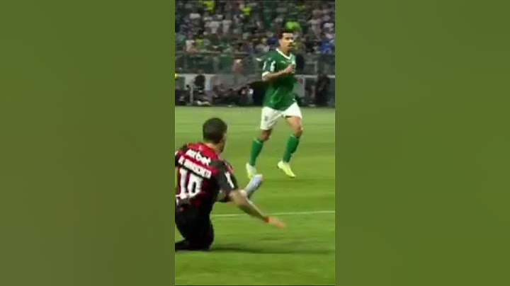 Palmeiras 0 x 2 Flamengo - mais uma polemica - Achou que foi?