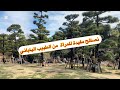 نصائح مفيدة للمرأة من الطبيب الياباني
