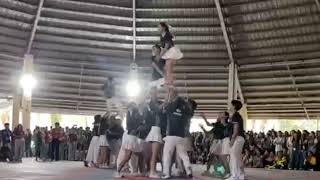 Stunt sequence highlights only ✨️— me as a flyer 💚🤍💪✨️ | PLSP MYNAS PEP SQUAD 🦅