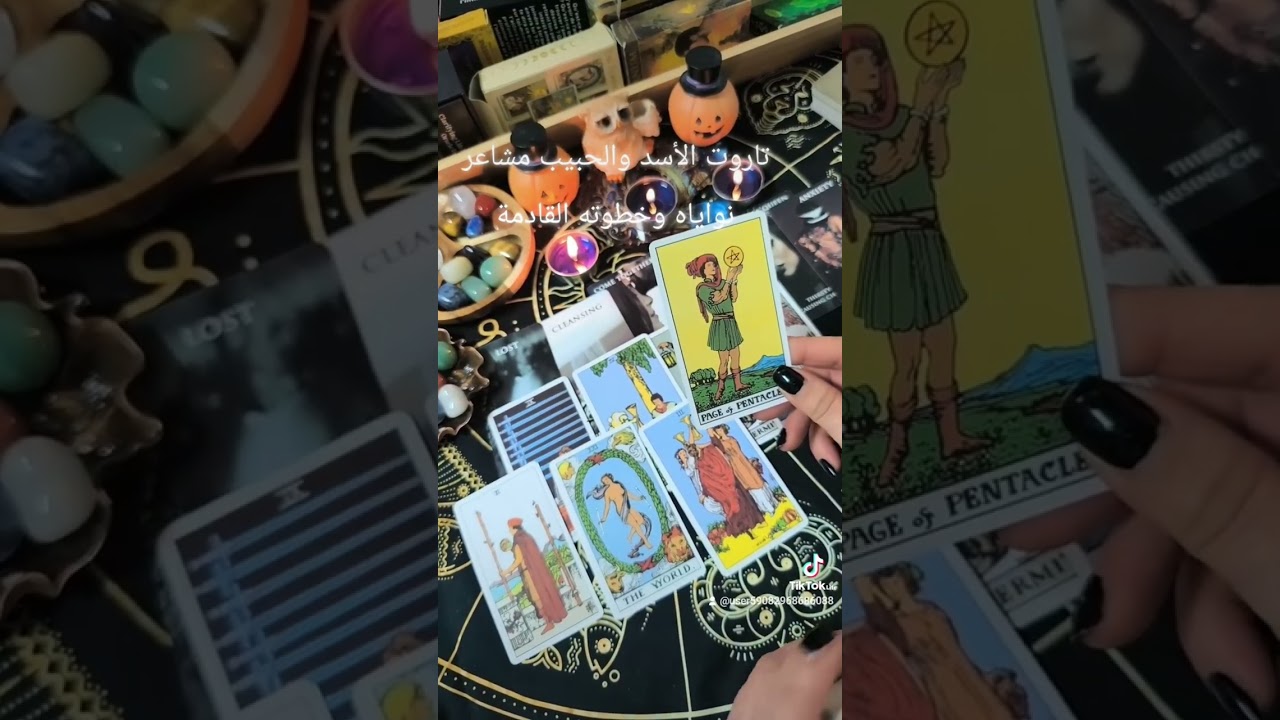 برج الأسد الحبيب متعلق كثيرا يريد العودة