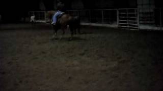SAM_0753.AVI