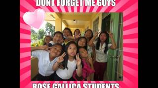 remembrance of rose gallica sy2015-2016
