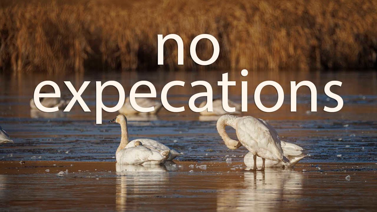 No Expectations