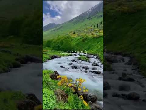 وما قدروا الله حق قدره والأرض جميعا قبضته يوم القيامة والسموات مطويات بيمينه