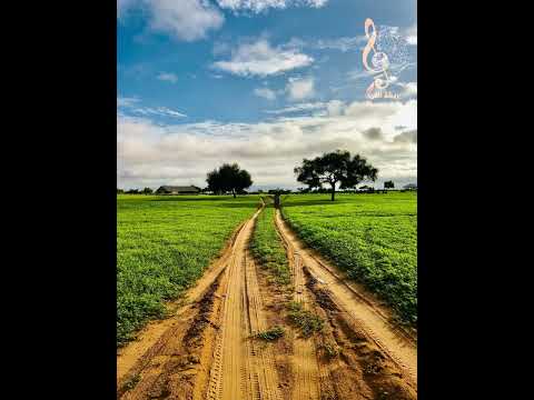 بنض نادر للفنان الظاهرة محمد ول أنكذي