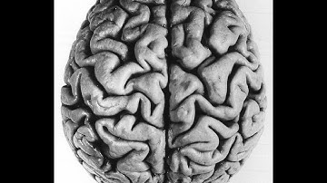 Normative, Prescritive, and Descriptive Decision Making (THE SAAD TRUTH_128)