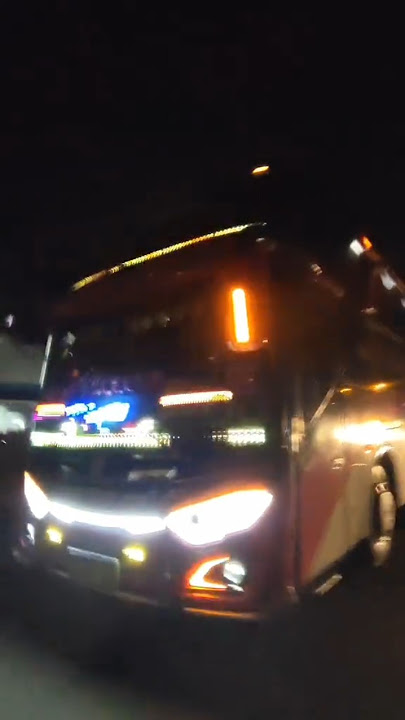 bus kupu kupu ayu
