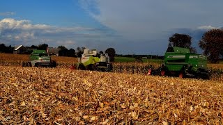 Kukurydziane Początki 2016 - Kaczmarek Agrotechnika - Corn Farm Przygocki & Syn