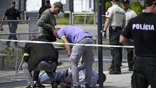 Court orders detention of suspected would-be assassin of Slovakia