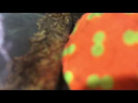 აღზრდა და რელიგია 5 თავი agrzda da religia 5 TAvi