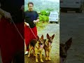 When Dharamji calls The Pet Point his family 🐾❤️ #thepetpoint #dharamji #puppylove #shorts