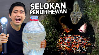 SESER SELOKAN HITAM JACKPOT MALEMMALEM! BAU TAPI BANYAK BANGET HEWANNYA!