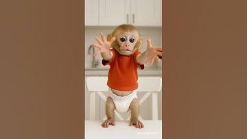 sharing donut is caring for baby monkey ❤️🐵🍩