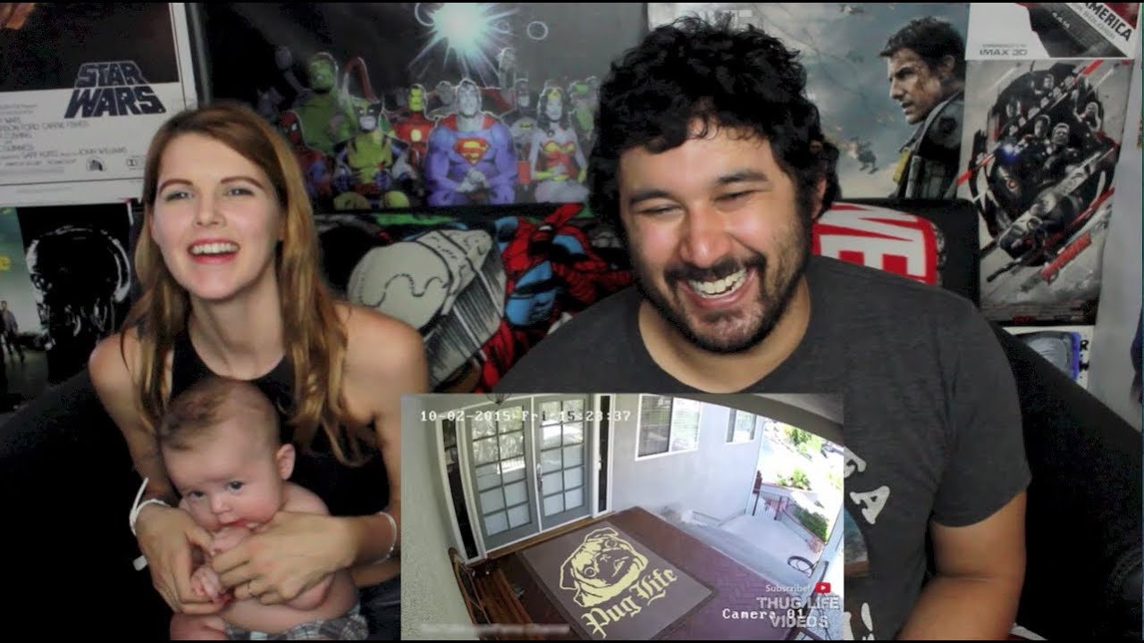 ANIMAL THUG LIFE Compilation #16 REACTION!!!