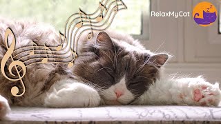 Calming Music for Cats - 20 HOURS of 528Hz Healing Music 🎶