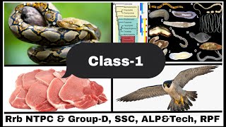 🔥 Class-1 by Arjun Jha 🔥 Zoology (Biology) for Competitive Exams | Rrb Ntpc & Group-D, SSC CGL