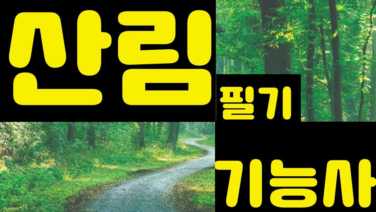 산림기능사필기 예상문제 10회