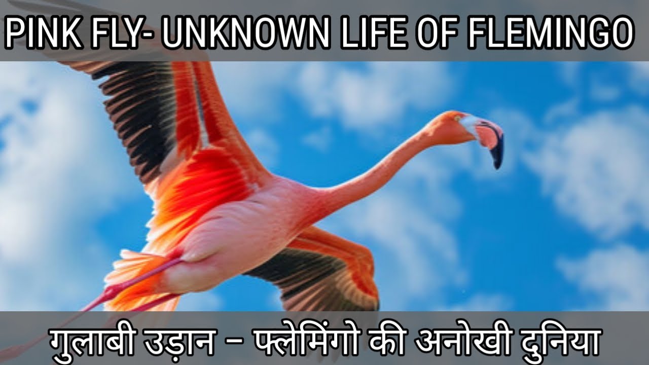गुलाबी उड़ान | Flamingo Bird Story in Hindi | प्रकृति की प्रेरणादायक कहानी | Educational Hindi Story