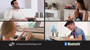 Intrasonic Stereo Bluetooth Volume Control