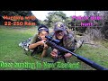 #waikarimoana Hunting Fallow deer with 22-250 Rem for meat hunt in New Zealand # 280