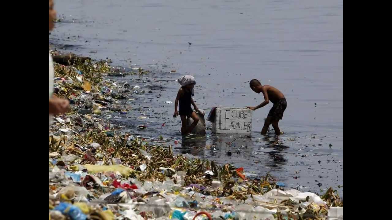 EFEverde con el Día Munial del Medio Ambiente
