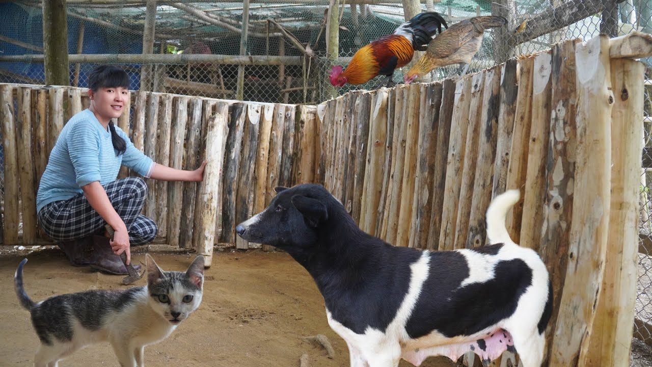 Эми воспользовалась случаем, чтобы навести порядок в фермерском доме перед визитом к матери на Тет