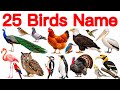25 Birds Name English and Hindi with Pictures | 25 पक्षियों के नाम | Birds Sound | Birds Name