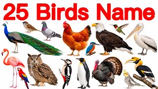 25 Birds Name English and Hindi with Pictures | 25 पक्षियों के नाम | Birds Sound | Birds Name