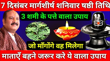 7 दिसंबर मार्गशीर्ष शनिवार षष्ठी तिथि को 3 शमी पत्ते वाला उपाय जरूर करे || Pradeep Ji Mishra