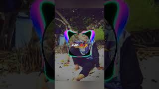 Comingsoon  bantenganmalangraya banteng bantengan soundmalang dj avee player