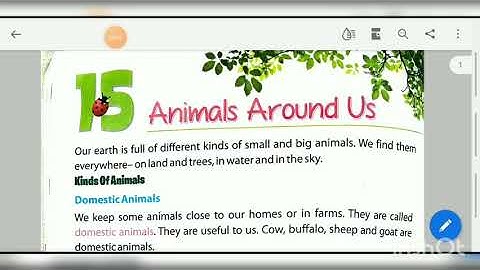 CH-15 (ANIMALS AROUND US)