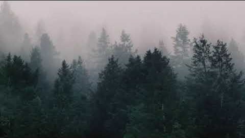 snowfall - (øneheart x reidenshi) [10 Hours]